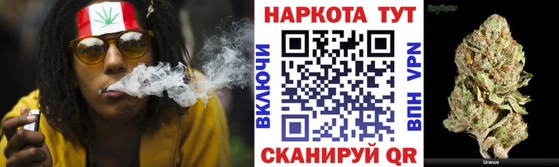 Каннабис Дальнегорск