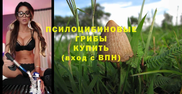 мескалин Данков