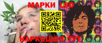 СК Новозыбков