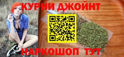 СК Новозыбков