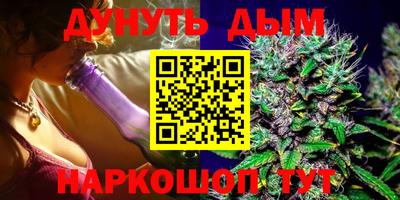 СК Новозыбков
