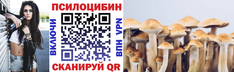 купить закладку  Дальнегорск  Псилоцибиновые грибы Magic Shrooms 