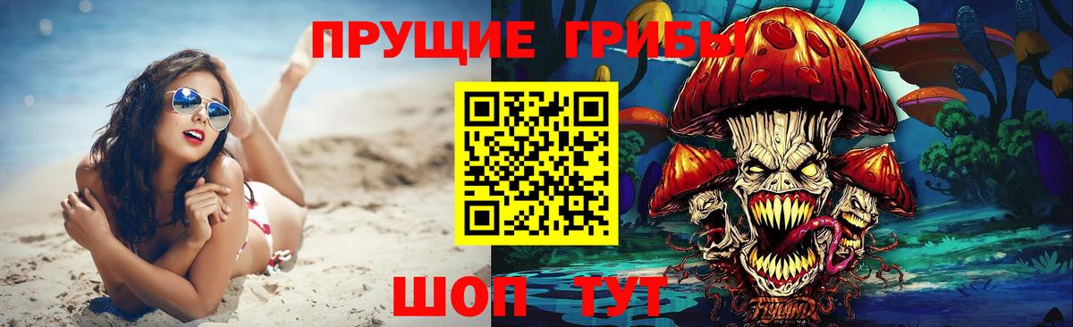Галлюциногенные грибы Psilocybe  Вход с VPN  Дальнегорск  Псилоцибиновые грибы прущие грибы 